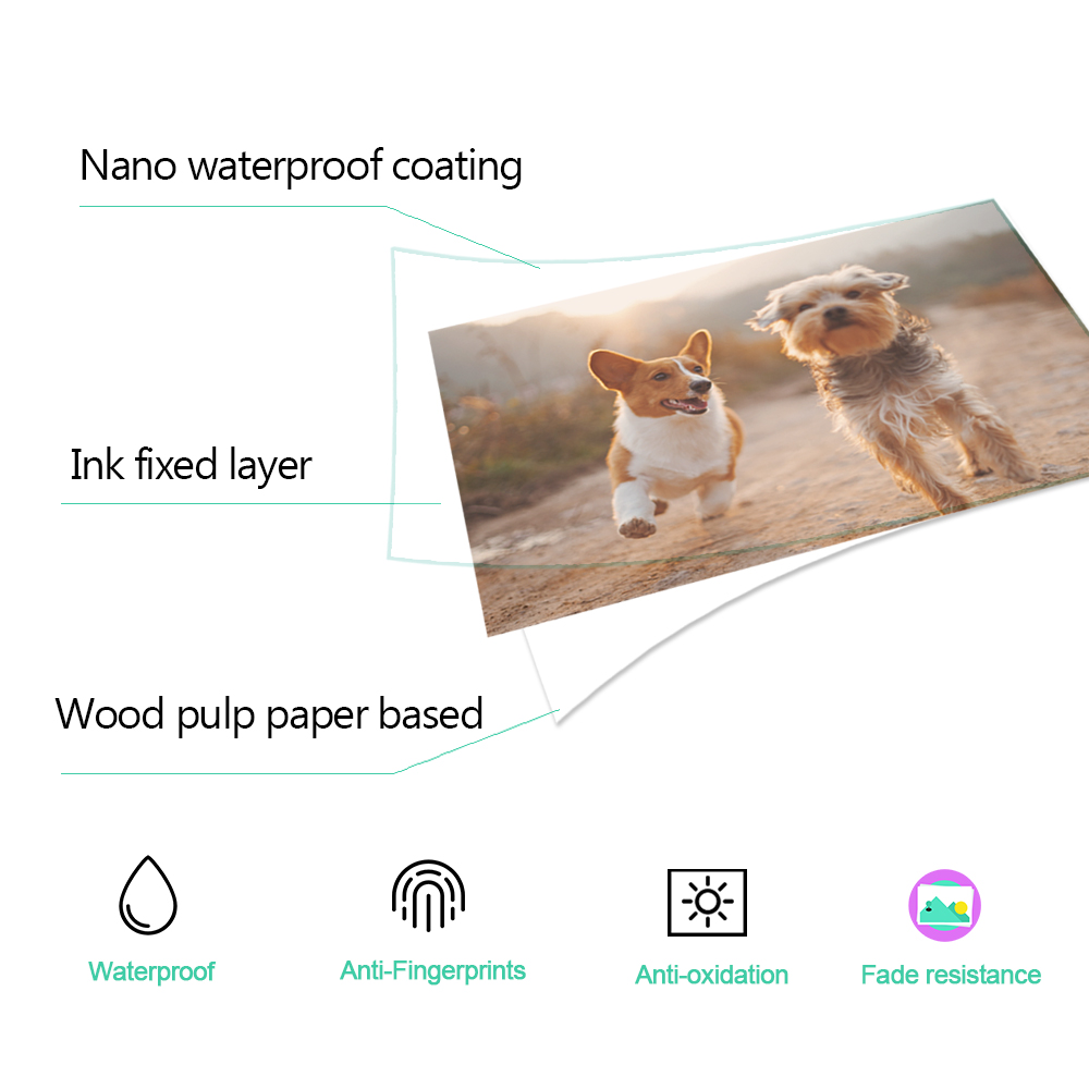 Cartouche d'encre 6 pouces KP  - Commercial Photo Printer avis et prix